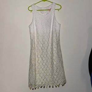 NWT Lilly Pulitzer Marquette Shift Ombré Dress XS